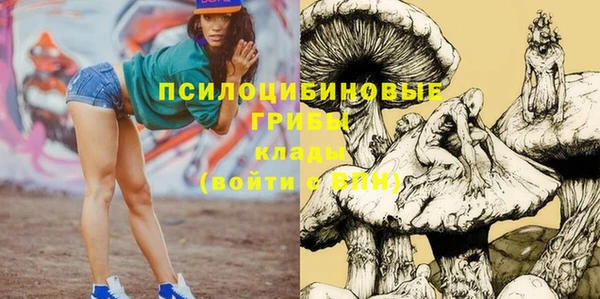 Альфа ПВП Инсар