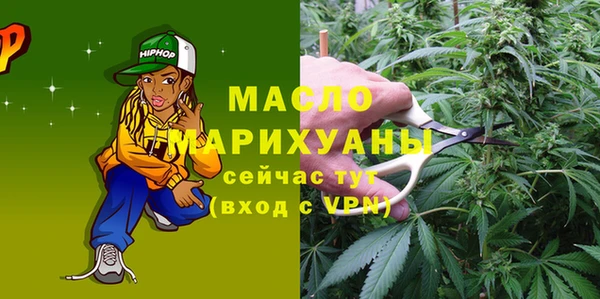 Альфа ПВП Инсар