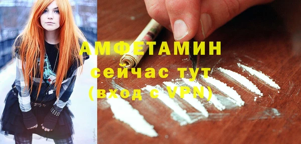 Альфа ПВП Инсар