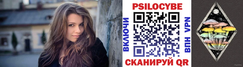 Купить где  Сольвычегодск  Галлюциногенные грибы Psilocybe 