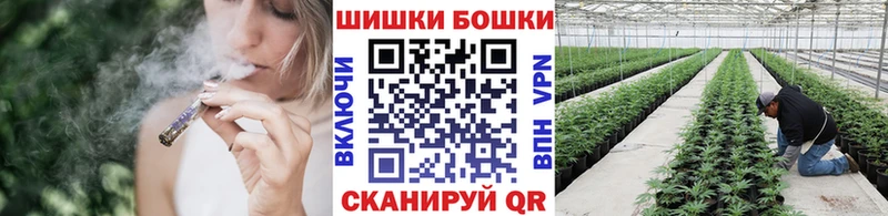 Купить где  Сольвычегодск  Конопля White Widow 